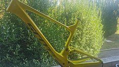 Scott Spark RC