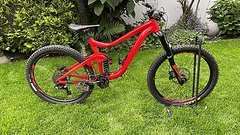 Giant Reign Modell 2019 - Größe L