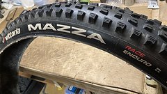 Vittoria MAZZA Race Enduro