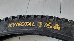 Continental Xynotal DH-Casing Soft 29 x 2.4