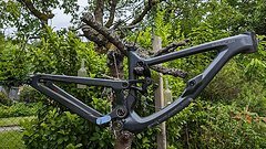 Saracen Saracen Ariel Carbon Gr. S Mullet/ 27,5
