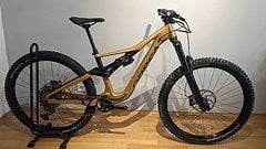 Orbea Rallon M10 Rahmen