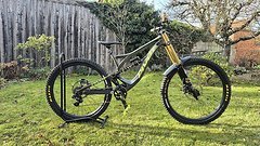 Pivot Cycles Phoenix 2019 Gr. M Mullet