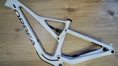 Orbea Rallon 2024 Gr. L Neu