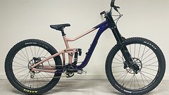 Giant Reign SX Custom