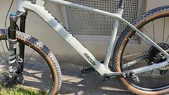 Radon Bikes Jealous 8.0 20" Cf