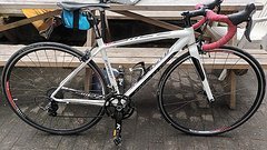 Specialized Allez Expert Rennrad
