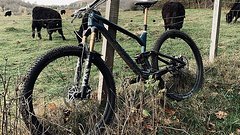 Radon Bikes Slide Trail 10.0 2021 Carbon Gr. M / 18"