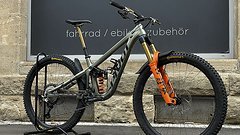 Pivot Cycles Firebird