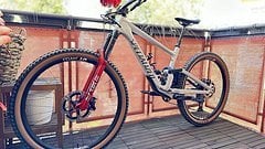 Specialized Enduro 2024 S4 Grey Custom Exc1501 Vivid ULT Reverb Sworks Carbon *NEU