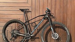 Mondraker Chrono Carbon 29“ L