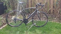 Specialized Roubaix S-Works neue Campagnolo Record 12f. Carbon M/L 56cm leicht
