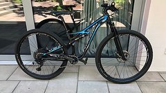 Specialized Camber Expert Carbon 29 small