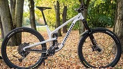 Propain Tyee 29 AL L Enduro - Carbon LRS - Dämpfer Tuning