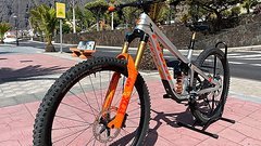 Pivot Cycles Firebird