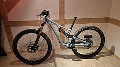 Specialized 2019 Stumpjumper Alloy 29