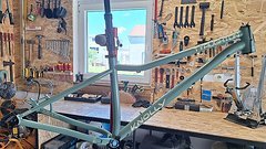 Knolly Tyaughton Steel M