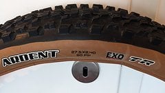 Maxxis ARDENT 27,5x2,4 EXO TR Skinwall