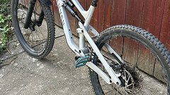 Canyon Torque Mullet AL 5