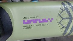 Canyon Torque CF9 Modell 2022