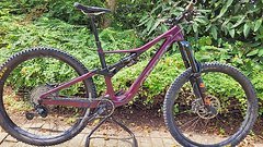 Orbea Rallon