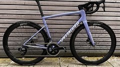 Specialized Tarmac SL8 Expert RH56 mit Zipp 303s Neuwertig