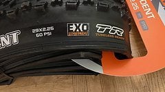 Maxxis Ardent