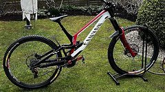 Canyon Sender CFR 2021 XL 29 Zoll Carbon Downhill-Bike