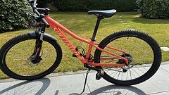 Specialized Rockhopper Sport