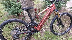 Mondraker Crafty Carbon RR MJ: 2025 Größe L