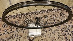 Mavic XM 424 Felge + 15x100 mm Nabe, Vorderrad XC / Gravel 29"