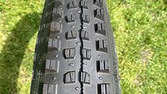 WTB Verdict