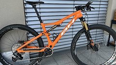 Bh Lynx Race