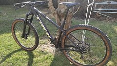 Trek Roscoe 29" Trail Hardtail 2023 (Größe L)