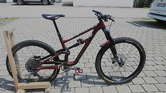 Specialized Status