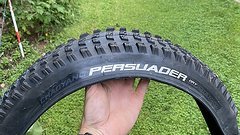 Chaoyang Persuader