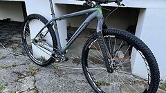 Trek Rig Singlespeed Frameset inkl Niner Gabel und LRS