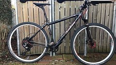 Salsa Cycles Mamasita