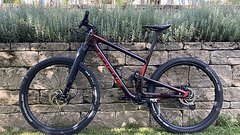 Focus, O1E Custom - Preisupdate! Down Country, Gr. L
