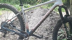 Specialized CHISEL LTD "Earth" Rahmen 29", L, 1/2 Preis!