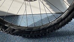 Schwalbe Magic Mary Gravity Radial