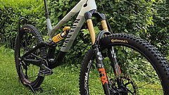 Canyon Torque CLLCTV XL Mullet Custom