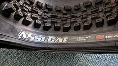 Maxxis ASSEGAI  29 x 2.5"  3C MaxxTerra  EXO+ neu