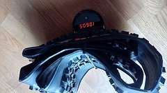 Maxxis Assegai 29 x 2.5 Exo MaxxTerra 3C NEU
