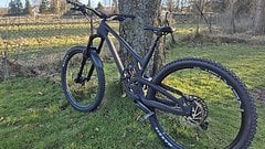 Evil Bikes Wreckoning v2 in L