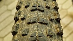 Maxxis Rekon Exo TR 29x2.4 WT