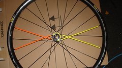 Laufräder speichencover 10 stück in orange oder in gelb