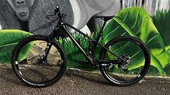 YT Industries Izzo