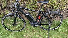 Ortler Bozen Preformance Herren E-Bike (Rahmengröße 50cm)