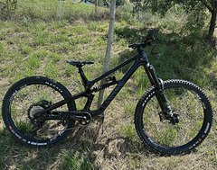 Foto von Canyon Torque CF 8 2024
